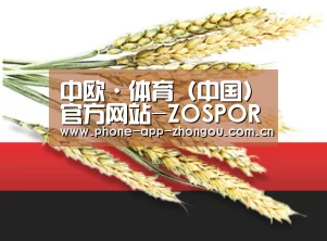 中欧·体育（中国）官方网站-ZOSPORTS