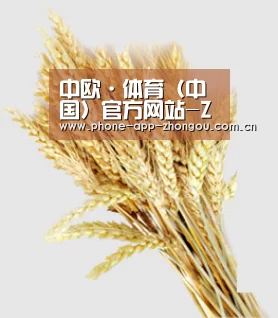 中欧·体育（中国）官方网站-ZOSPORTS
