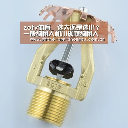zoty体育_
选大还是选小?一般纳税人和小规模纳税人的区别在哪?(图3) 中欧体育官网