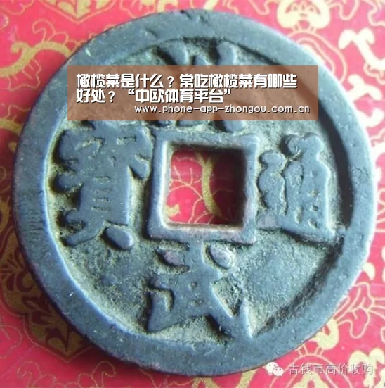 橄榄菜是什么?常吃橄榄菜有哪些好处?“中欧体育平台”(图1) 中欧体育