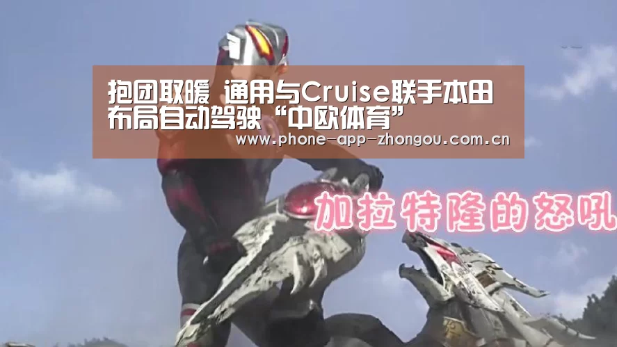 中欧体育