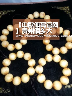 【中欧体育官网】贵州侗乡大健康产业示范区:要建成一流休闲度假胜地(图2) zoty体育
