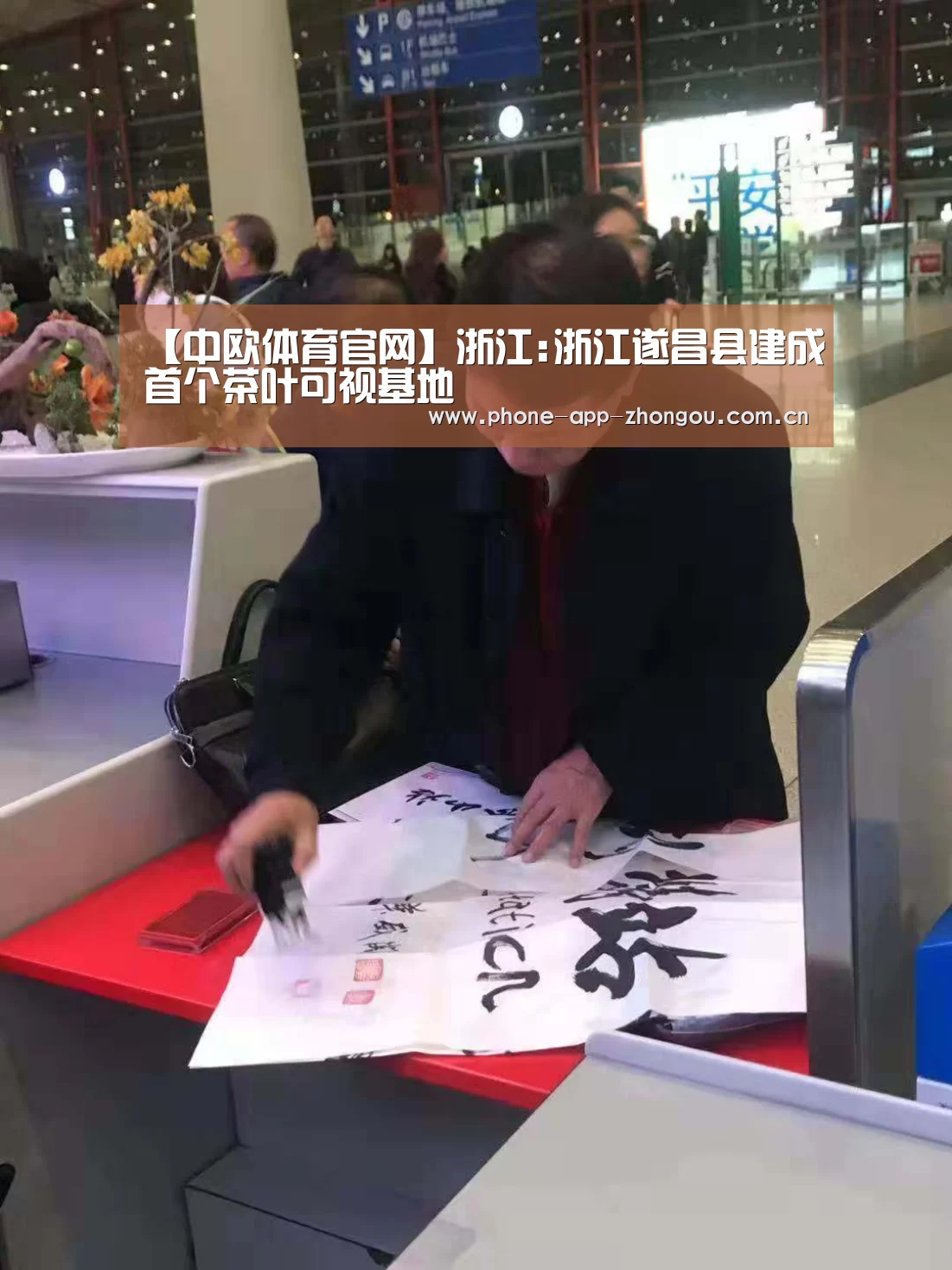 【中欧体育官网】浙江:浙江遂昌县建成首个茶叶可视基地(图2) 中欧体育