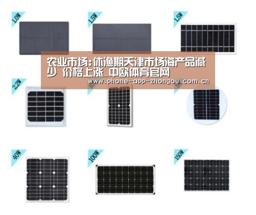 中欧体育官网
