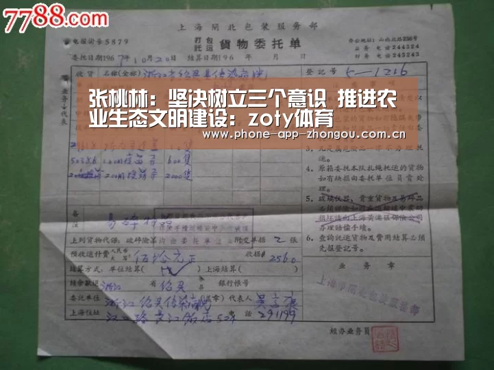 中欧体育平台