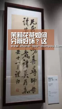 中欧体育官网