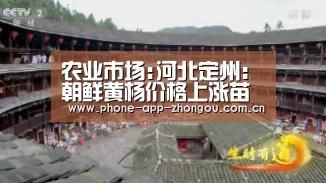 农业市场:河北定州:朝鲜黄杨价格上涨苗农惜售|中欧体育官网(图2) zoty体育