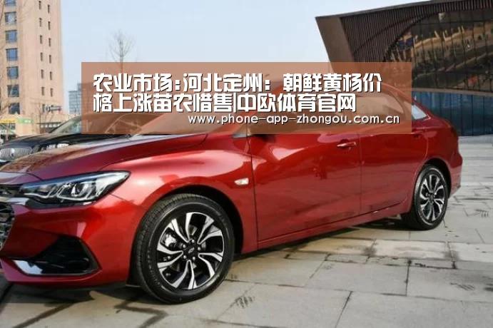农业市场:河北定州:朝鲜黄杨价格上涨苗农惜售|中欧体育官网(图3) 中欧体育官网