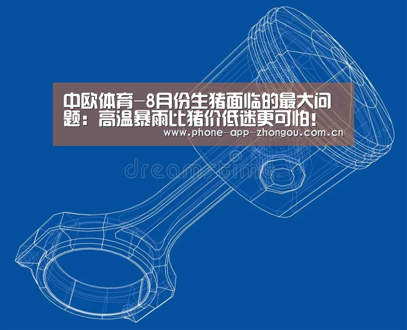 中欧体育-8月份生猪面临的最大问题:高温暴雨比猪价低迷更可怕!(图3) 中欧体育官网